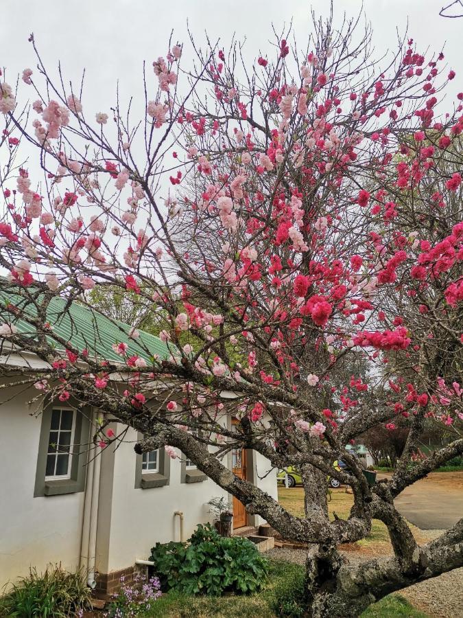 Sani Window B&B And Self Catering 安德伯格 外观 照片