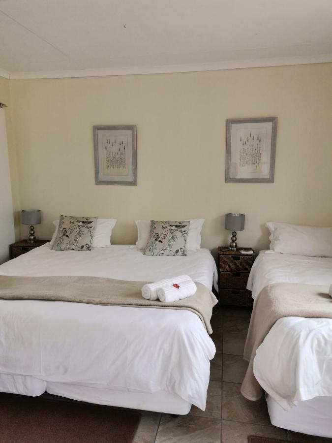 Sani Window B&B And Self Catering 安德伯格 外观 照片
