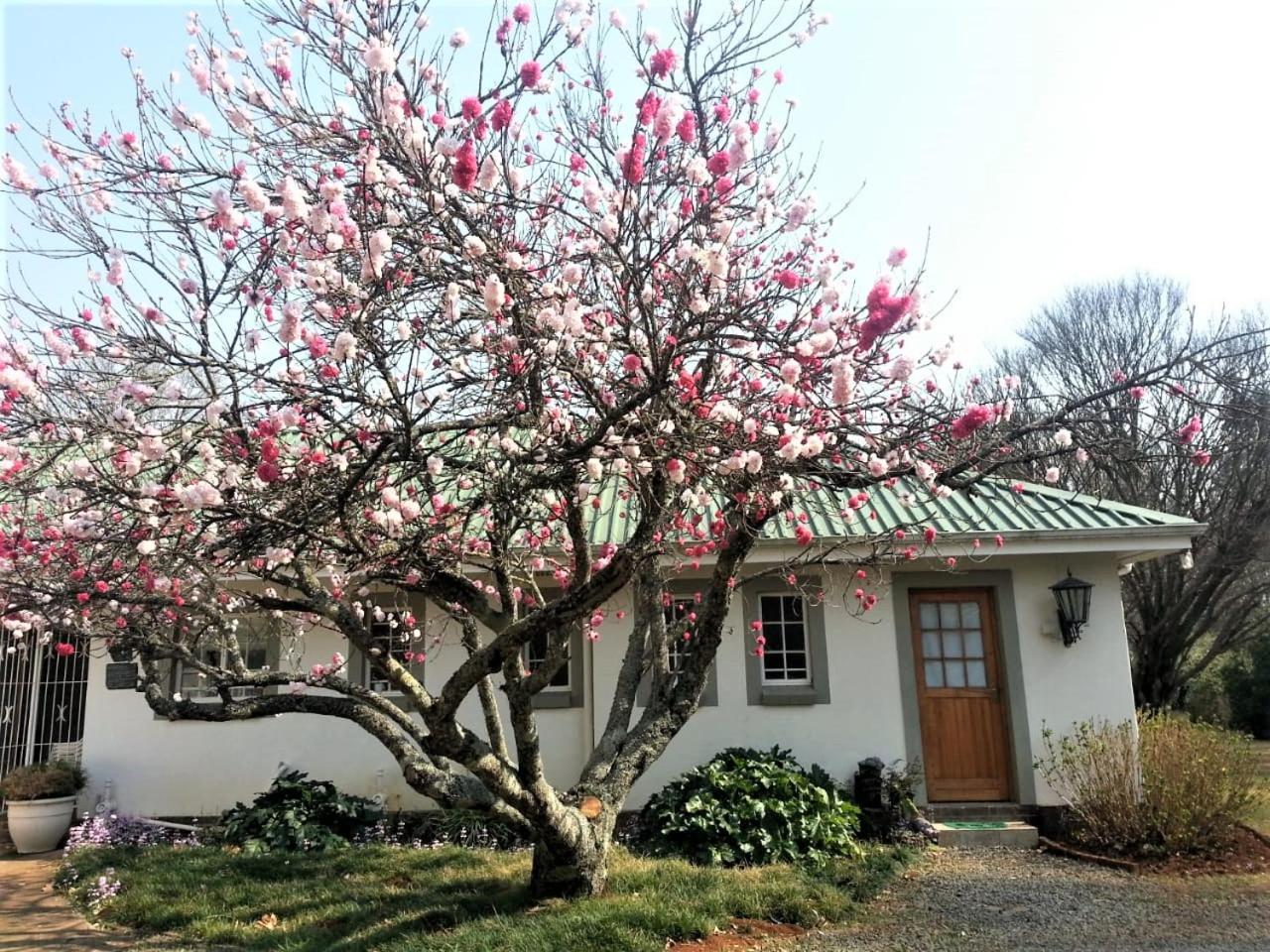 Sani Window B&B And Self Catering 安德伯格 外观 照片